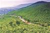 Odisha News:17-Tourists-Rescued-After-Night-Long-Search-Operation-on-Gandhamardan-Hill