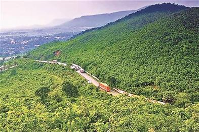 Odisha News:17-Tourists-Rescued-After-Night-Long-Search-Operation-on-Gandhamardan-Hill