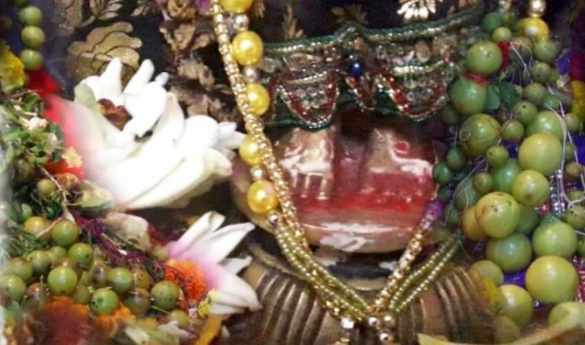 Odisha News:Anal-Navami-Draws-Lakhs-to-Sakshi-Gopal-Temple