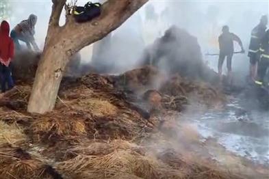 Odisha News:Arson-Attack-Incinerates-₹5-Lakh-Paddy-Crop-in-Ganjam-Village