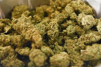 Odisha News:Bhubaneswar-Airport-Seizure-Rs-4-Crore-Worth-Foreign-Marijuana-Caught-Couple-Arrested