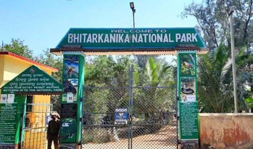 Odisha News:Bird-Count-to-Begin-in-Bhitarkanika-Mangroves