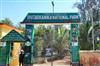 Odisha News:Bird-Count-to-Begin-in-Bhitarkanika-Mangroves