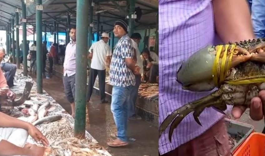 Odisha News:Chhadkhai-Market-Sees-Damp-Start-Due-to-Thursday-Constraint