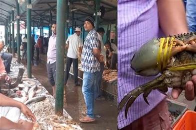 Odisha News:Chhadkhai-Market-Sees-Damp-Start-Due-to-Thursday-Constraint