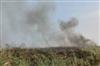 Odisha News:Chilika-in-Flames-Reed-Forest-Blaze-Threatens-Biodiversity