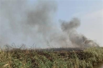 Odisha News:Chilika-in-Flames-Reed-Forest-Blaze-Threatens-Biodiversity