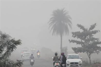 Odisha News:Cold-Snap-Grips-State-Temperatures-Plummet