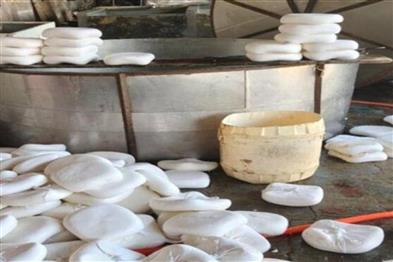 Odisha News:Cuttack-Crackdown-7000-kg-Adulterated-Cheese-Seized-Ahead-of-Shravan