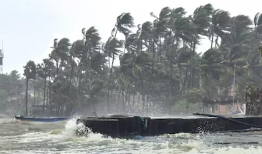 Odisha News:Cyclone-Ditwah-Bears-Down-on-Indian-Coast-Red-Alert-Issued