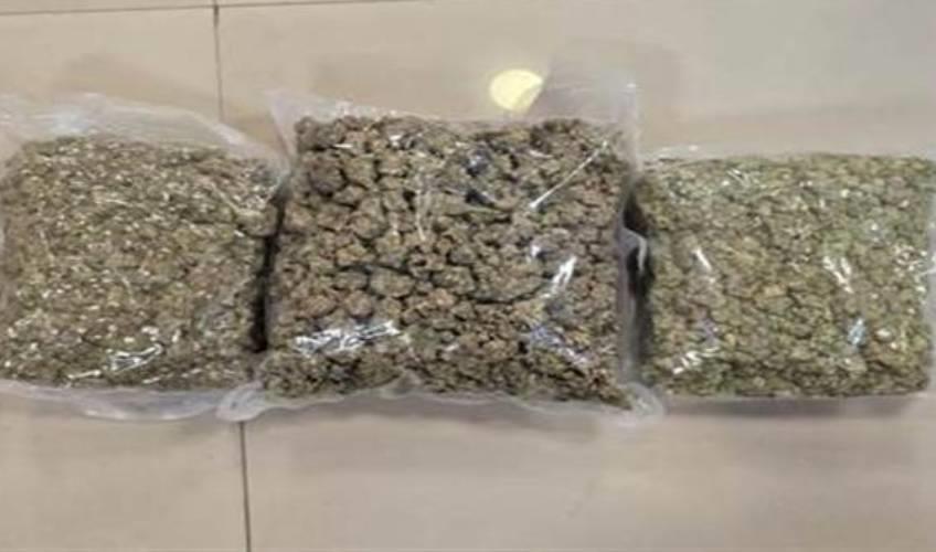Odisha News:Drug-Bust-at-Biju-Patnaik-Airport-₹4-Crore-Hydroponic-Weed-Seized