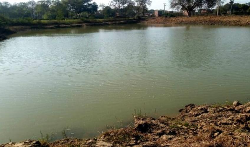 Odisha News:Elderly-Man-Drowns-in-Pond-While-Defecating-in-Kendrapara