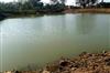 Odisha News:Elderly-Man-Drowns-in-Pond-While-Defecating-in-Kendrapara