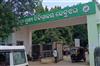 Odisha News:Elephant-Attack-Claims-Life-of-Young-Man-in-Keonjhar