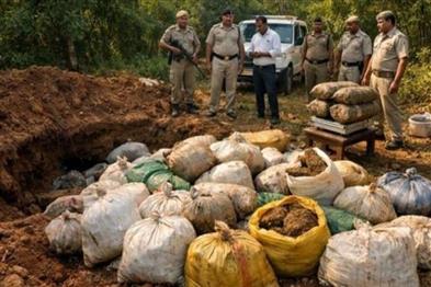 Odisha News:Gajapati-Ganja-Bust-Police-Seize-Underground-Stash-Worth-₹2-Crore