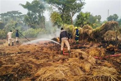 Odisha News:High-Voltage-Spark-Charred-7-Acres-of-Straw-in-Pipili