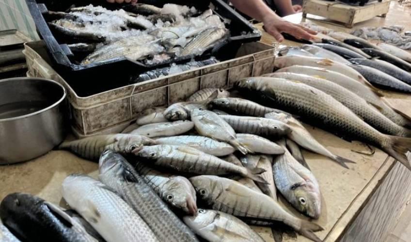 Odisha News:Margshir-Month-Sparks-Non---Veg-Market-Frenzy