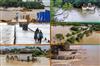 Odisha News:Massive-Relief-Operations-Underway-as-Odisha-Floods-Affect-Millions