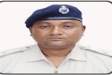Odisha News:Nabarangpur-Forester-Suspended-Over-Illegal-Tree-Felling