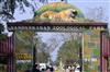 Odisha News:Nandankanan-Zoo-Loses-Rare-White-Tiger-Cub