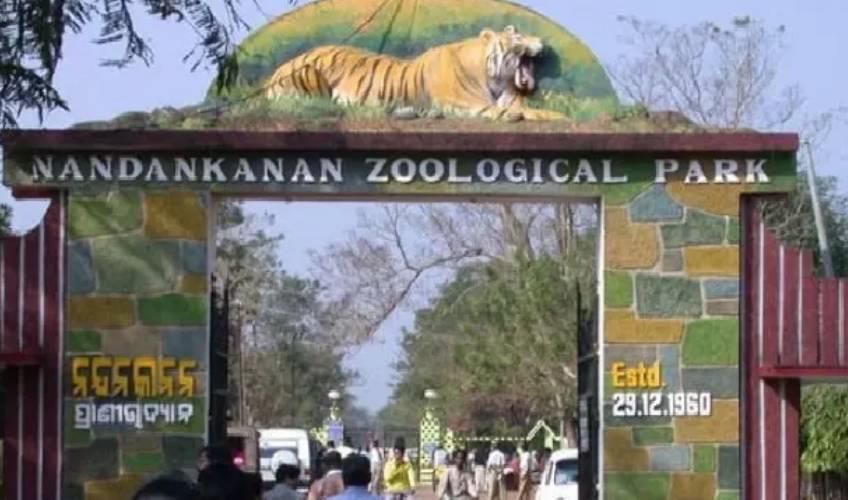 Odisha News:Nandankanan-Zoo-Set-for-New-Arrivals-in-Animal-Exchange