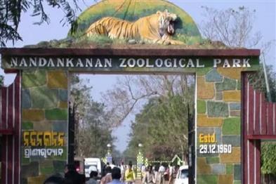 Odisha News:Nandankanan-Zoo-Set-for-New-Arrivals-in-Animal-Exchange
