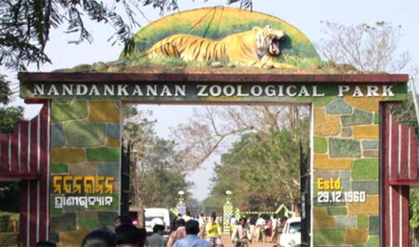 Odisha News:New-Arrivals-at-Nandankanan-Zoo-via-Animal-Exchange