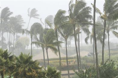 Odisha News:No-Cyclone-Threat-for-Odisha-But-IMD-Warns-of-Heavy-Rain-and-Deep-Depression