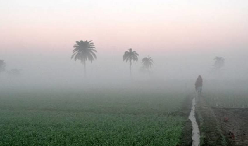 Odisha News:Odisha-Braces-for-Bone-Chilling-Cold-and-Yellow-Warning-Fog