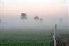 Odisha News:Odisha-Braces-for-Bone-Chilling-Cold-and-Yellow-Warning-Fog