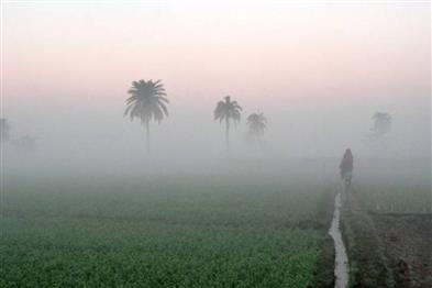 Odisha News:Odisha-Braces-for-Bone-Chilling-Cold-and-Yellow-Warning-Fog