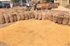 Odisha News:Odisha-Government-Launches-Farmer-Registration-for-Kharif-Paddy-Sale