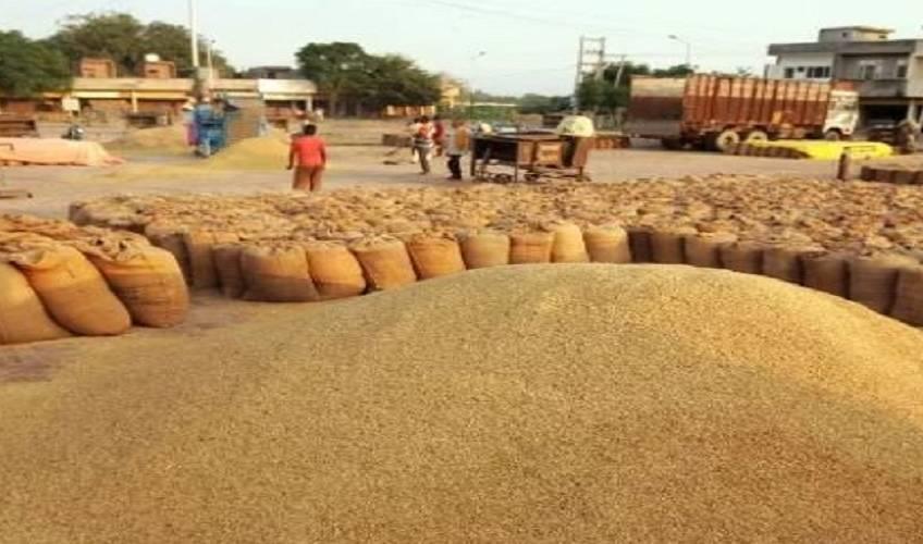 Odisha News:Odisha-Paddy-Procurement-Starts-Tomorrow-with-Higher-Target