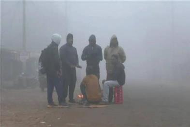 Odisha News:Odisha-Shivers-Severe-Cold-Wave-and-Fog-Paralyze-Kandhamal--Nabarangpur