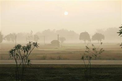 Odisha News:Odisha-Shivers-Under-Sub‑Zero-Blast