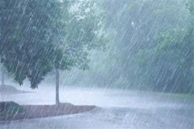 Odisha News:Odisha-Weather-Thunderstorms-Now-Heatwave-Soon