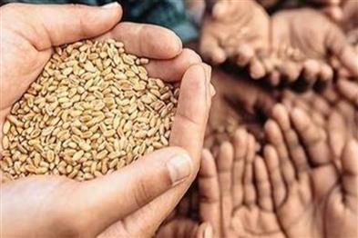 Odisha News:Odisha-to-Provide-Wheat-to-Ration-Card-Holders