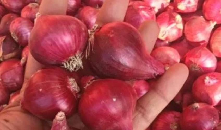 Odisha News:Onion-Prices-Skyrocket-in-Odisha-Rates-Hit-Rs-50kg-Due-to-Supply-Crunch