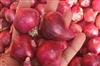Odisha News:Onion-Prices-Skyrocket-in-Odisha-Rates-Hit-Rs-50kg-Due-to-Supply-Crunch