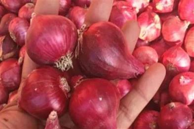 Odisha News:Onion-Prices-Skyrocket-in-Odisha-Rates-Hit-Rs-50kg-Due-to-Supply-Crunch