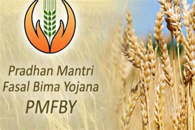 Odisha News:PMFBY-Odisha-Deadline-Extended-for-Kharif-Crop-Insurance