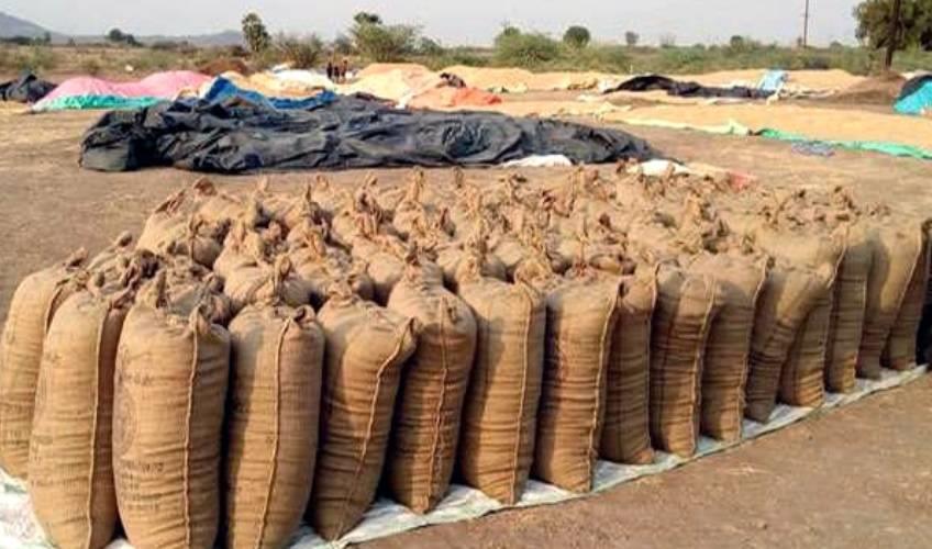 Odisha News:Paddy-Procurement-Deadlock-Rice-Millers-Strike-Across-Odisha