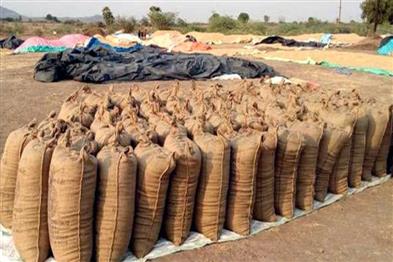 Odisha News:Paddy-Procurement-Deadlock-Rice-Millers-Strike-Across-Odisha
