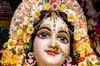 Odisha News:Radiant-Grace-Celebrating-Radhashtami