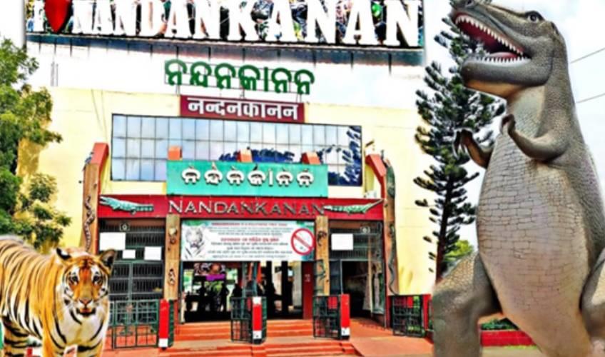 Odisha News:Rare-Exotic-Wildlife-Set-to-Arrive-at-Nandankanan-Zoo