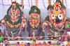 Odisha News:Ritualistic-Bathing-of-Lord-Jagannath-Interrupted-Due-to-Unforeseen-Incident