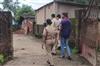 Odisha News:Rourkela-Mob-Attack-Sector-7-Police-Detain-36-Youths-After-Brutal-Assault-and-Vandalism-Spree