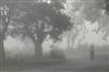 Odisha News:State-Shivers-as-Mercury-Plummets-GUdayagiri-Hits-3°C