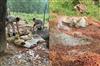 Odisha News:Sundargarh-Excise-Crackdown-15600-kg-Mahua-Wash-Destroyed-in-Forest-Raid