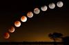 Odisha News:Total-Lunar-Eclipse-to-Grace-Indian-Skies-Tonight-Rahu-Consumes-the-Moon